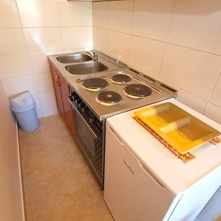 Elsa 534 شقة Štinjan